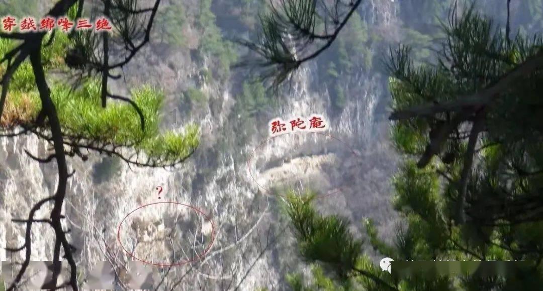 燃烧吧大脑装瓶子游戏