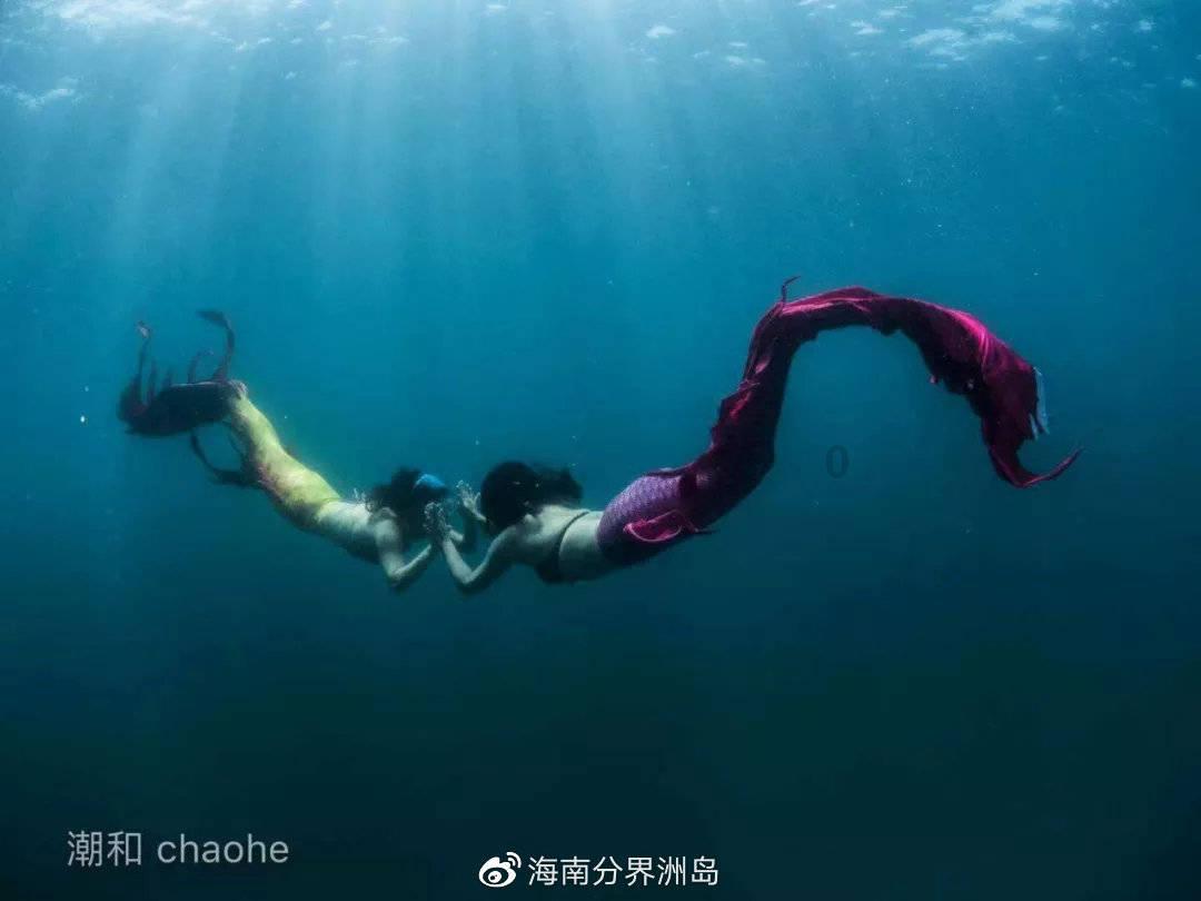 娄山观·2024贵州两会 | 奋力谱写中国式现代化贵州实践新篇章
