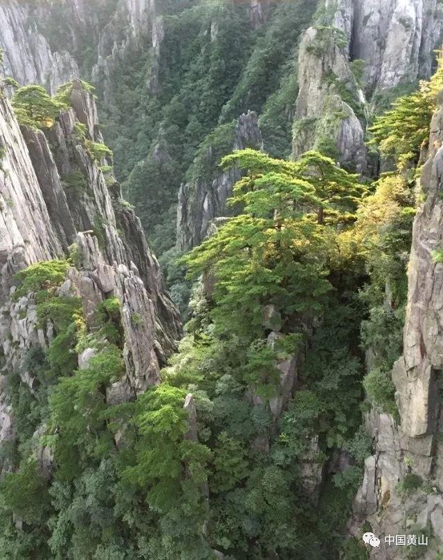 陶阿甘弹弹堂大作战